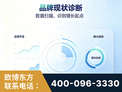 博乐-品牌现状诊断